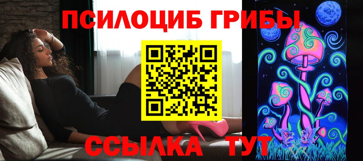 Урус-Мартан  Галлюциногенные грибы Magic Shrooms  Псилоцибиновые грибы мицелий  Вход с VPN 